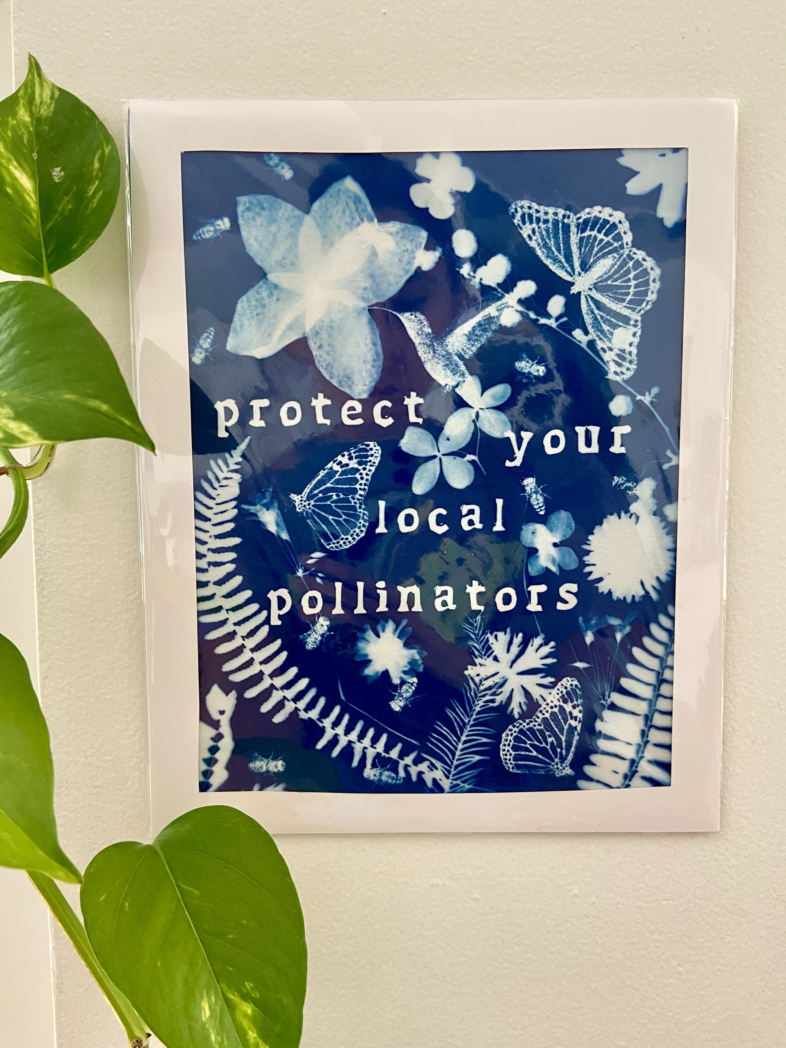 protect your local pollinators