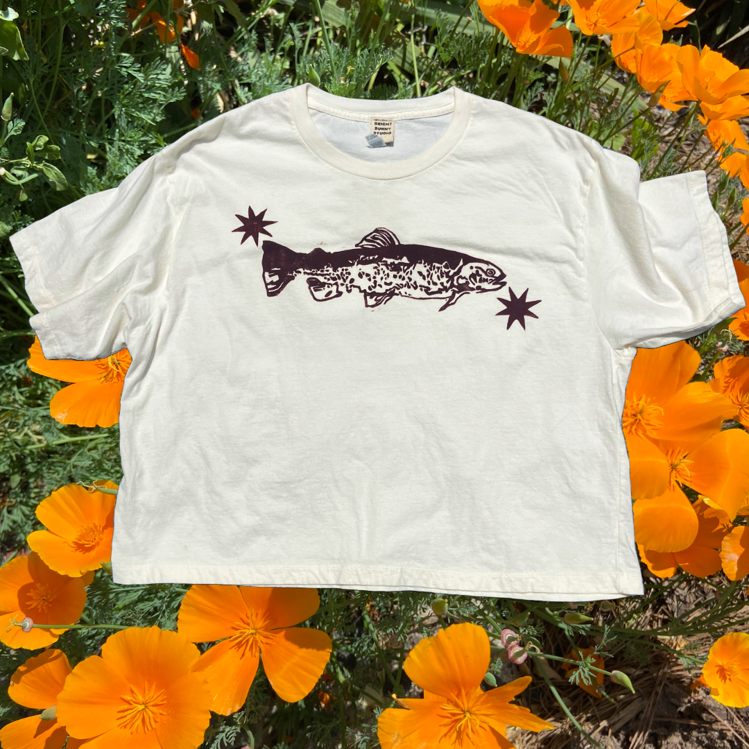 brook trout boxy tee: '25 summer drop