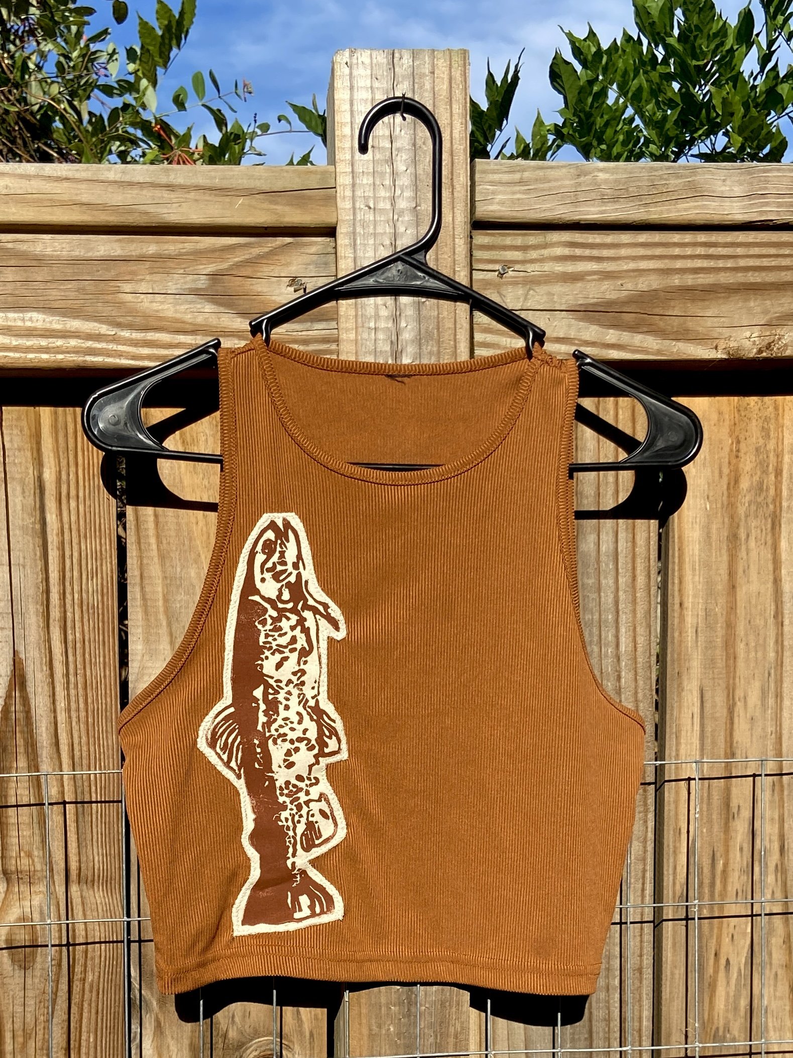brown trout stretch tank: '25 summer drop