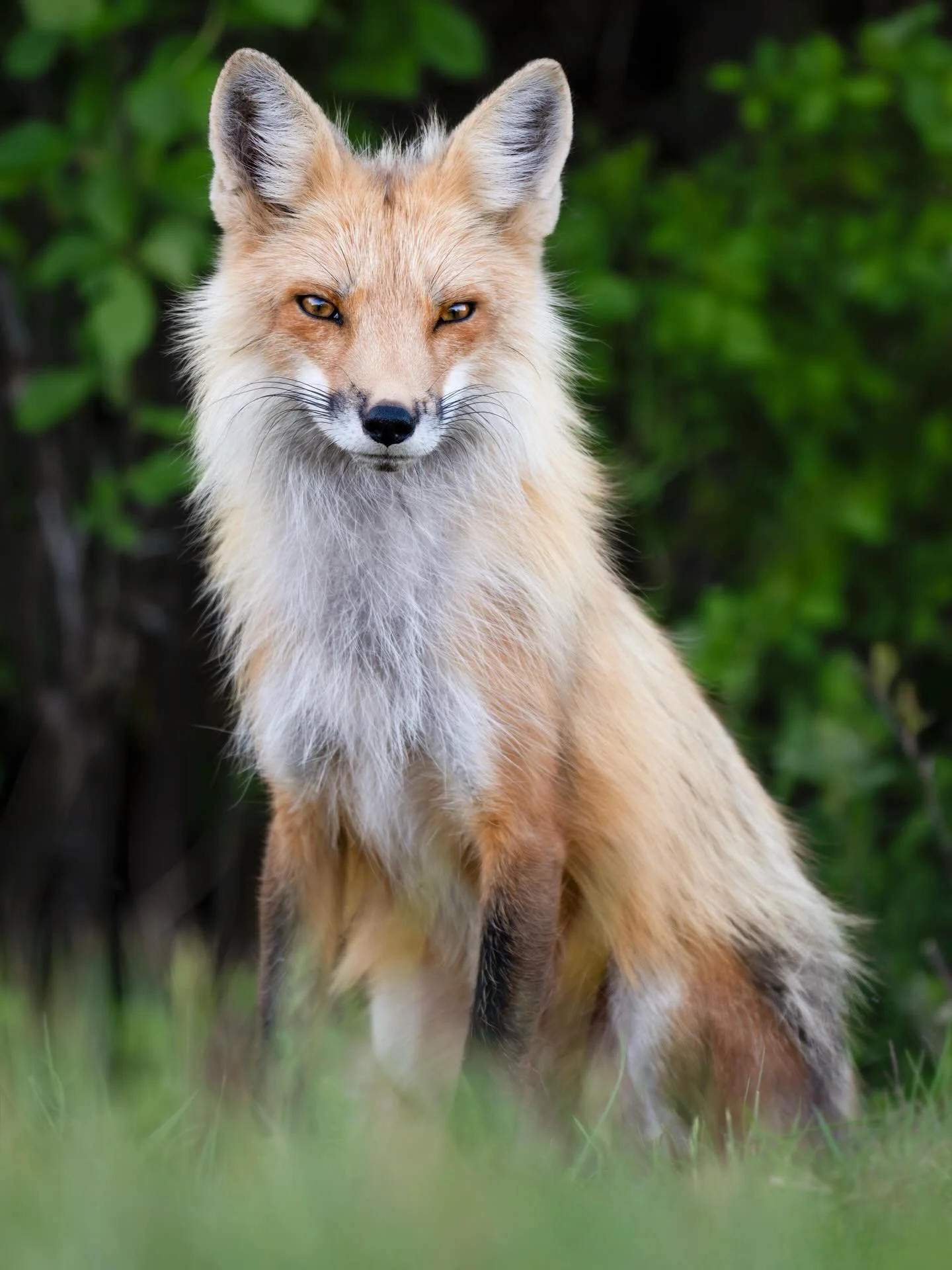 Hey! Psst! I think you are incredible for all that you are doing. Life is strange right now, and you are doing the best you can with what you have. 

Being an artist in trying times is an act of bravery, and yes you are an artist. Whether you have ta