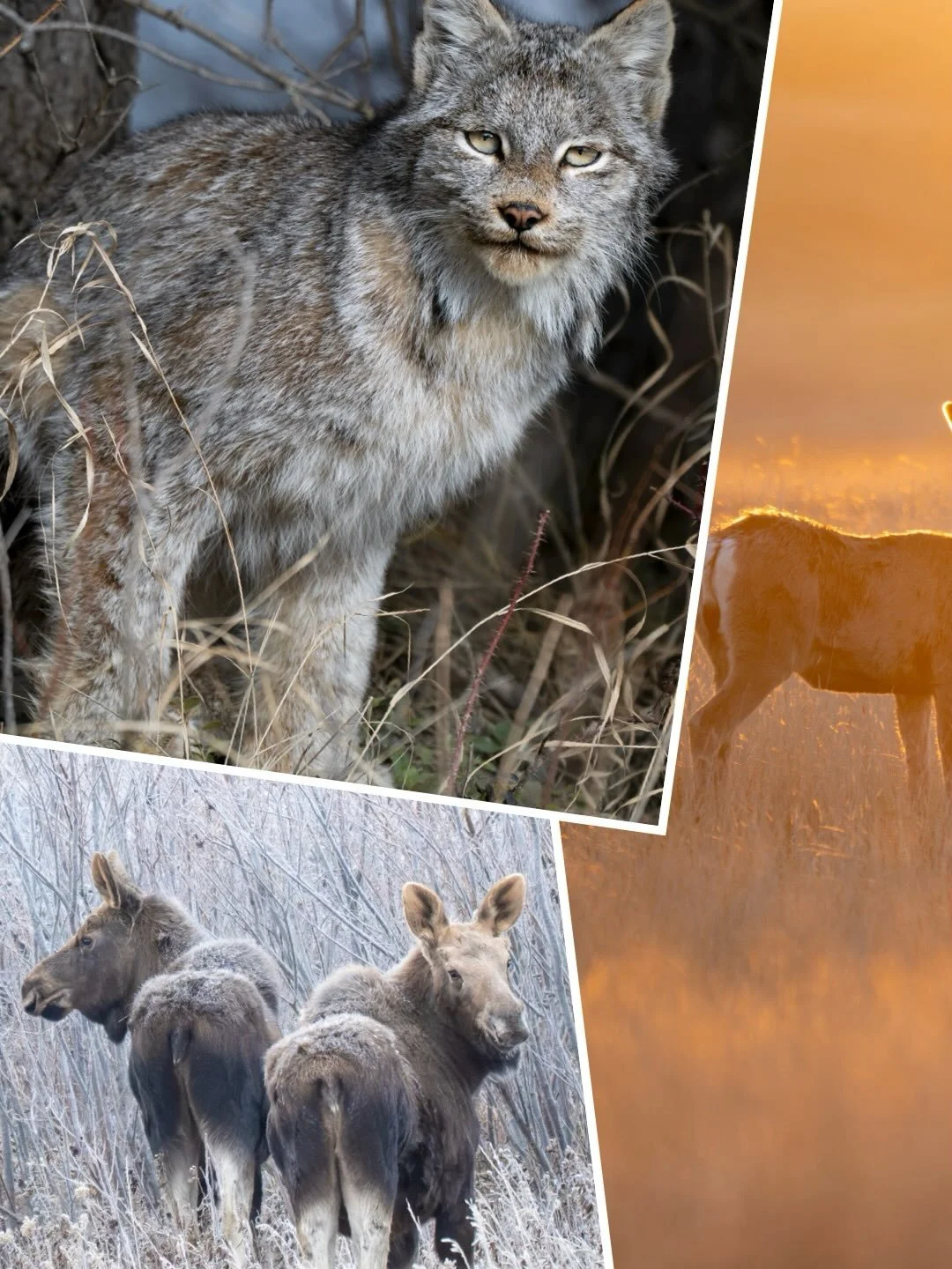 This year has been one for the books, but it wouldn&rsquo;t mean much without the love and support of my family, friends, and fellow artists. You all make this journey the adventure that it is, and I am so thankful for each and every one of you. Happ