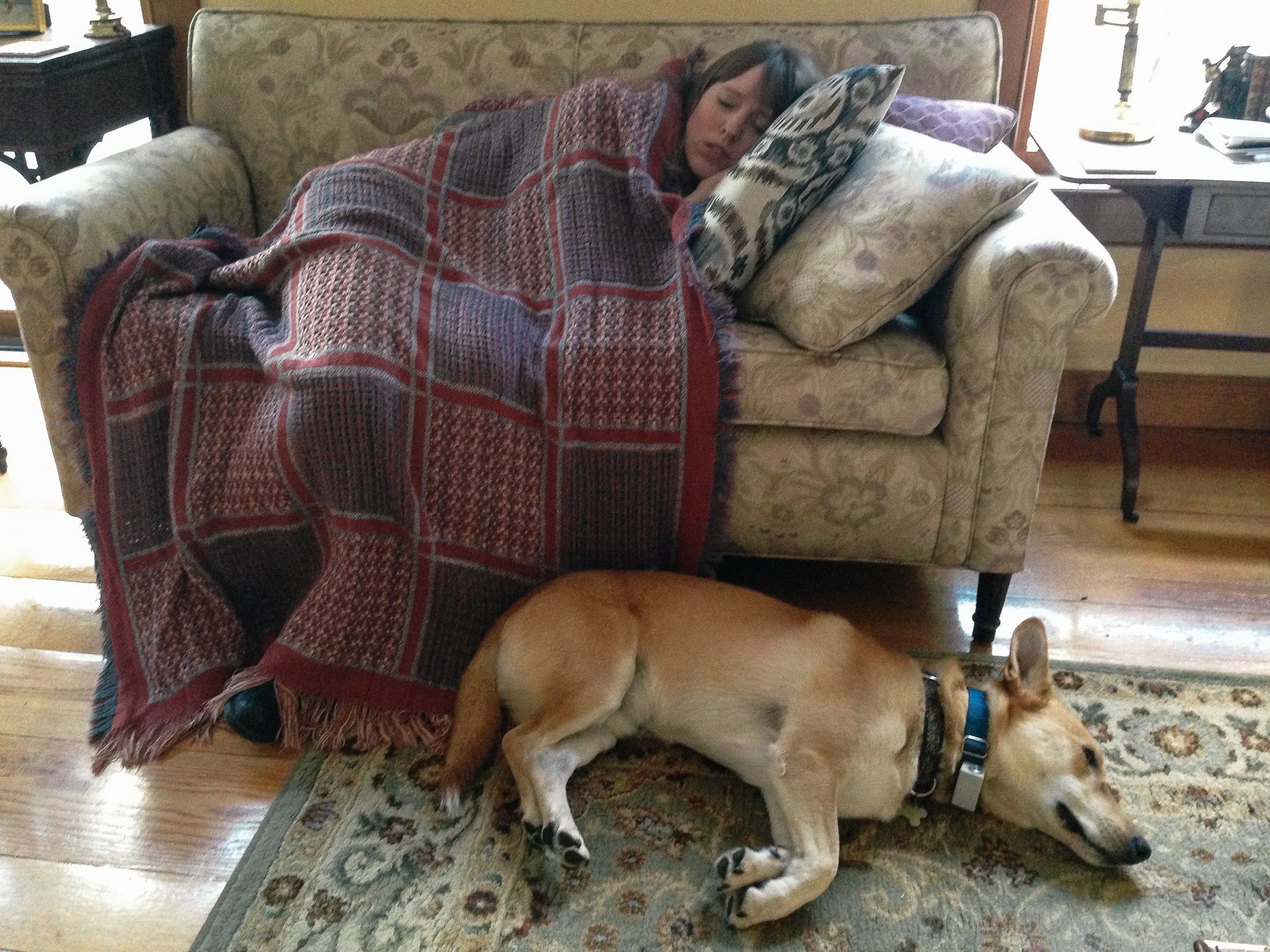 Waffles_Photo_052.jpg