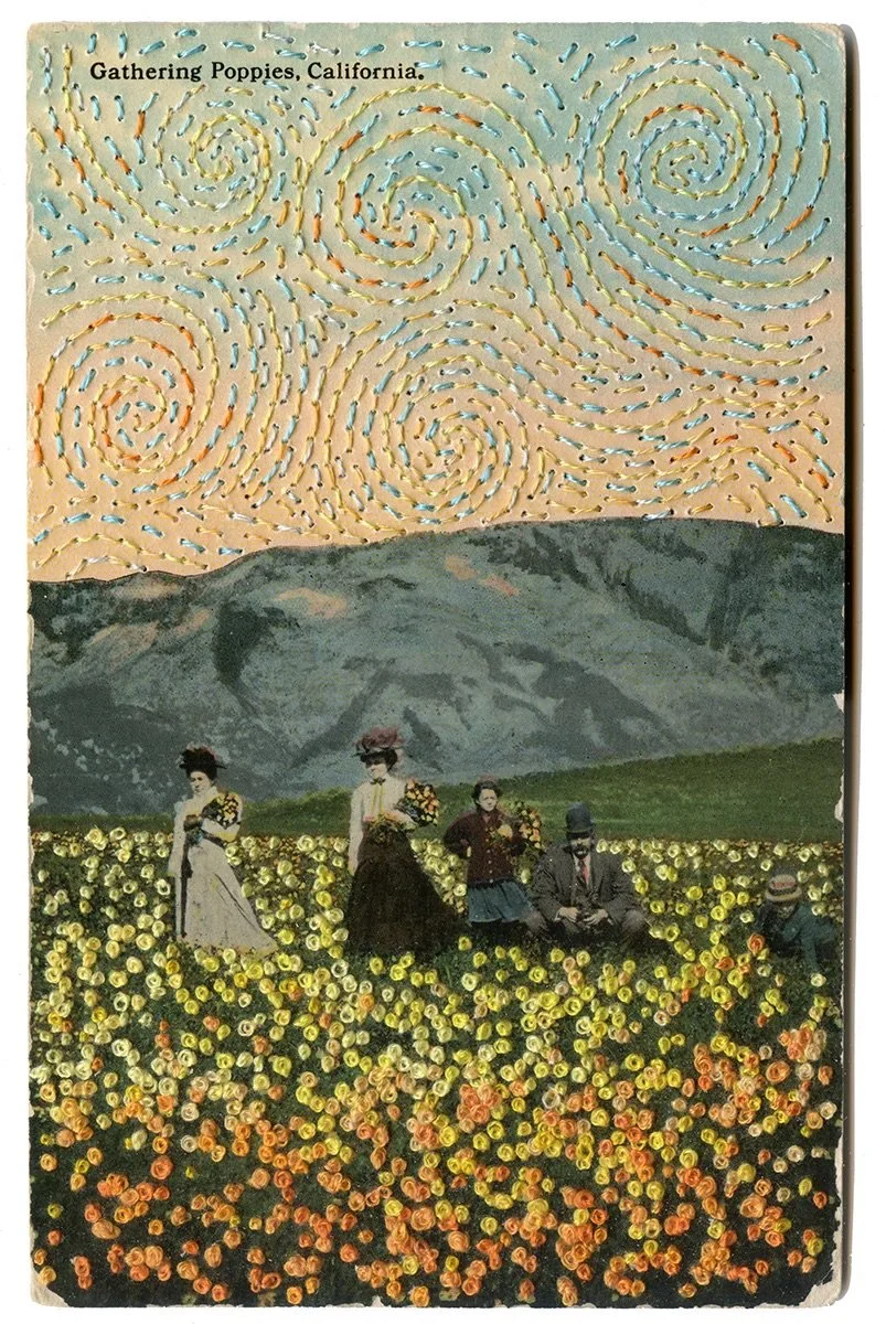 Gathering Poppies, California