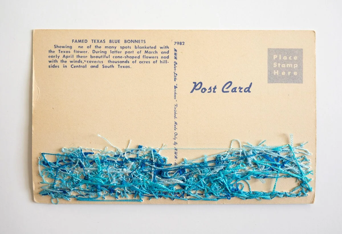 Texas bluebonnets - back.jpg