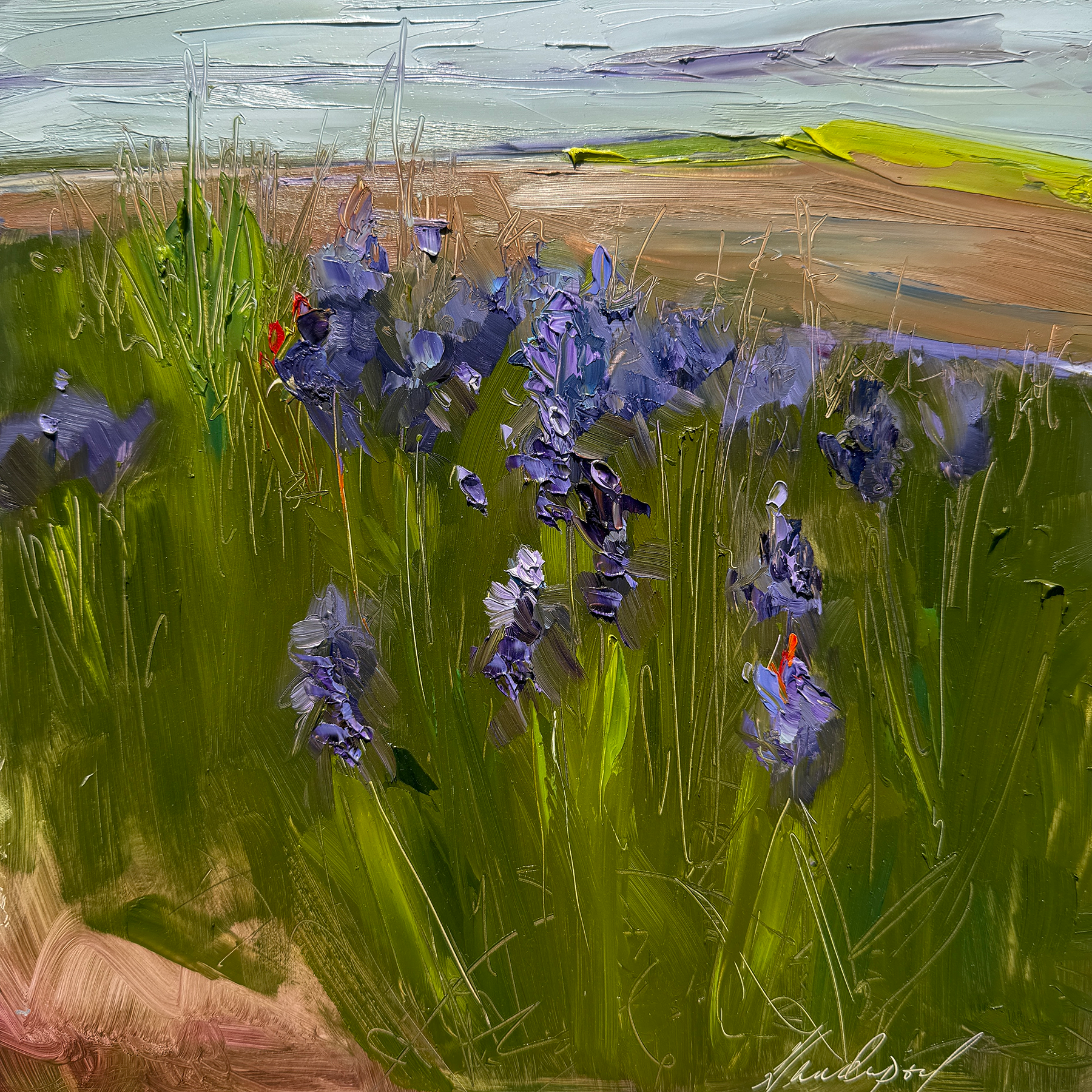 Muscari Prairie Bloom