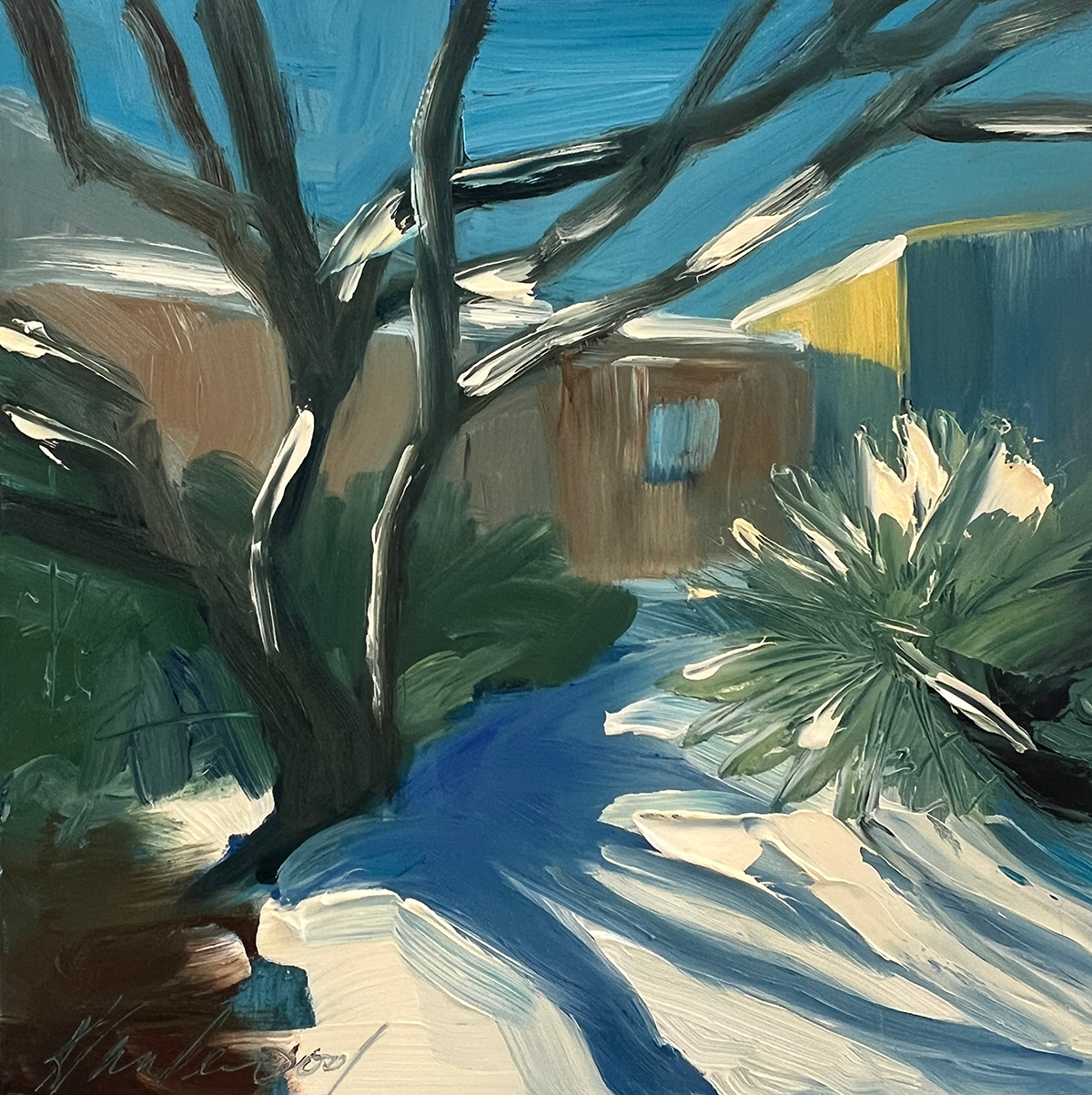 January Snow