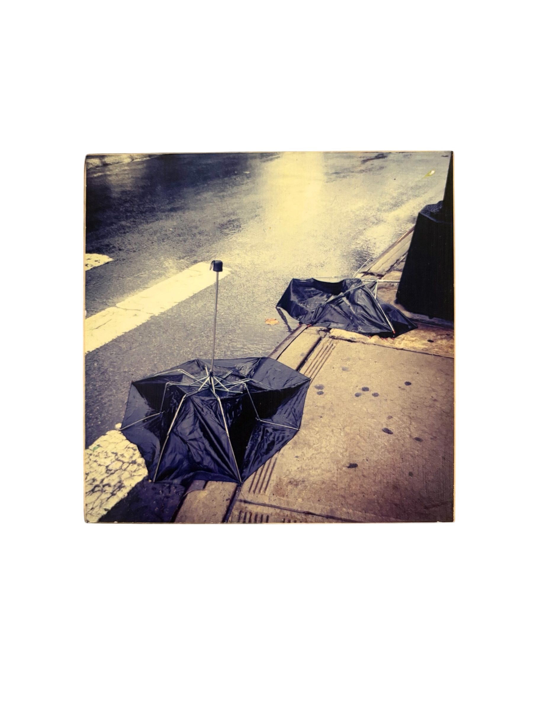 Sometimes A Storm Comes To Clear The Path.PNG
