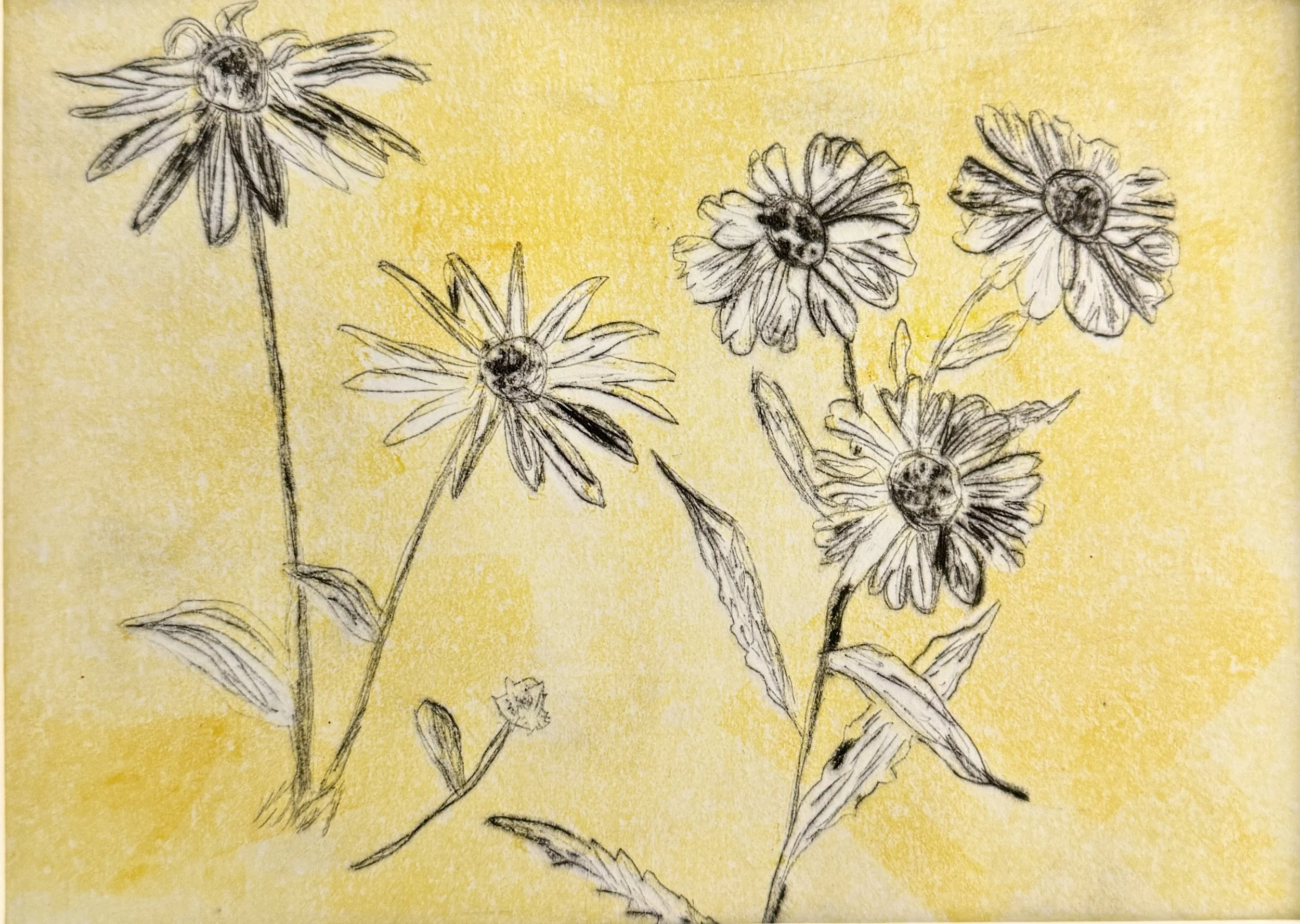 Delicate Botanicals I