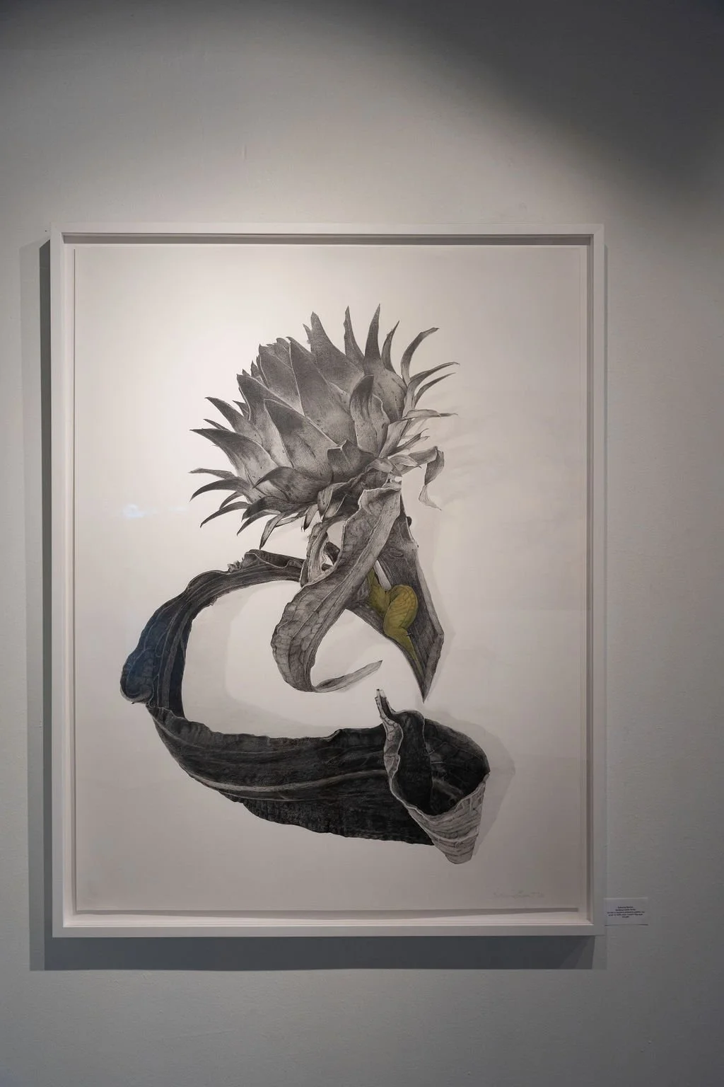 Katherine Baronet's work in the Magnolia Gallery