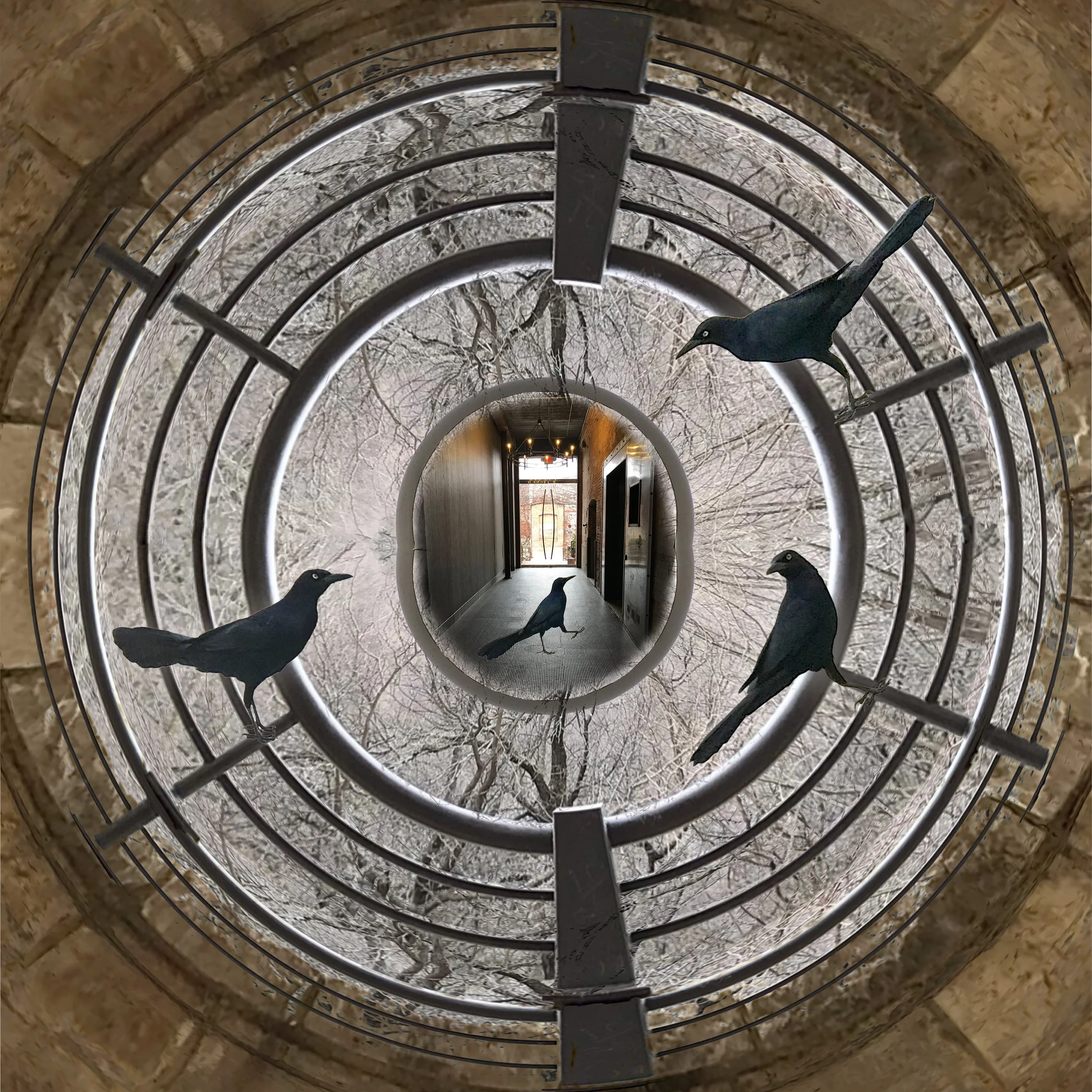 MagicDoor_10X10-300.jpg
