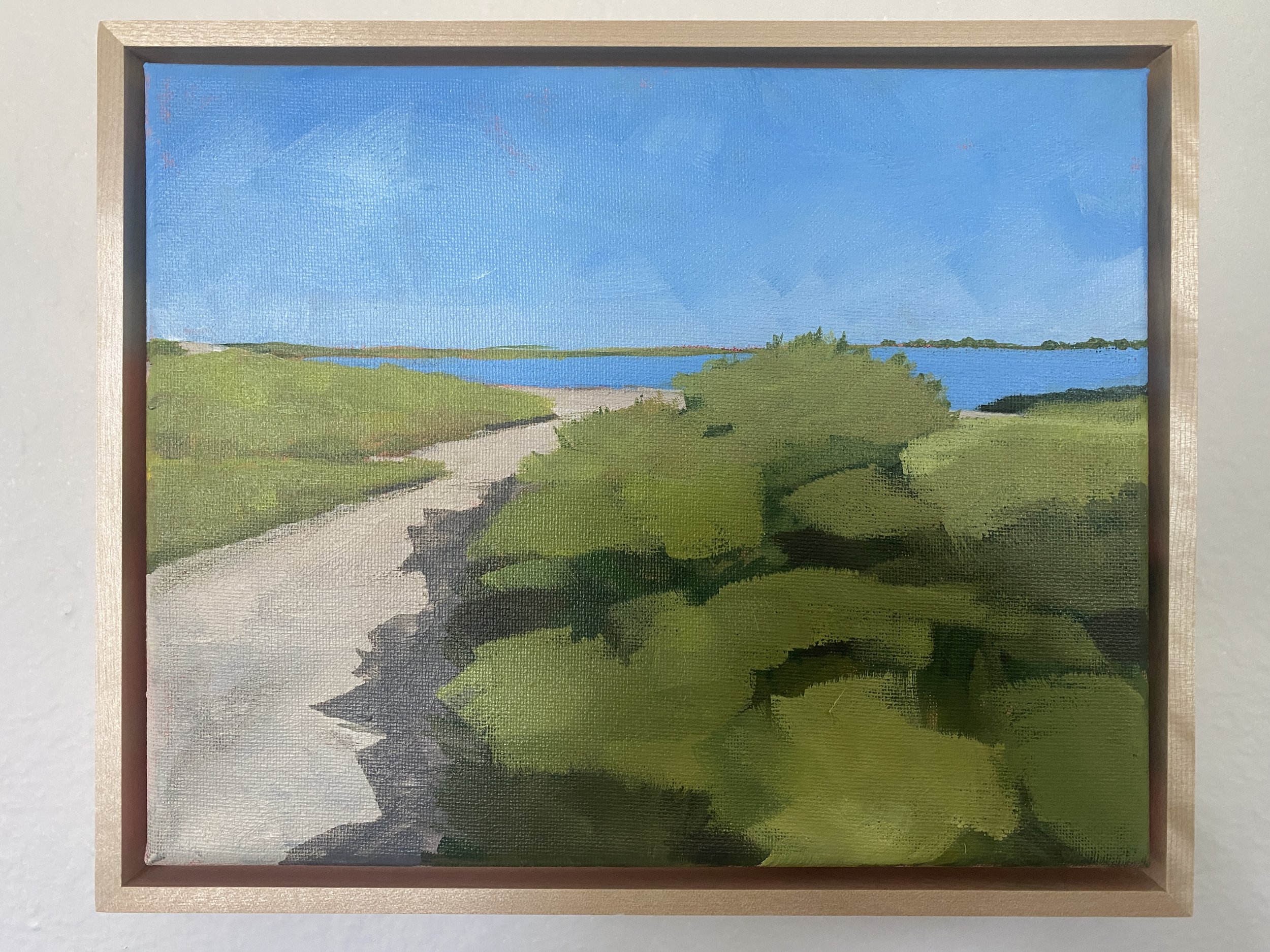 Shadows on the Bayside