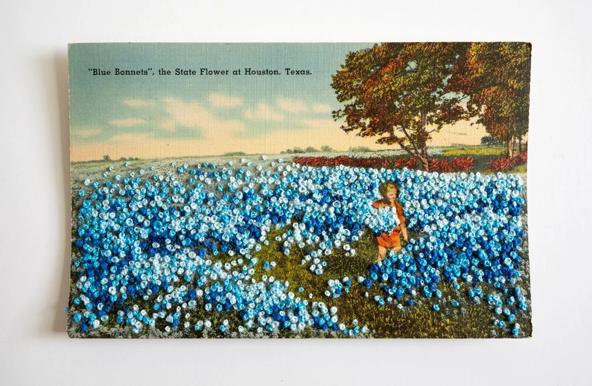 The State Flower of Texas