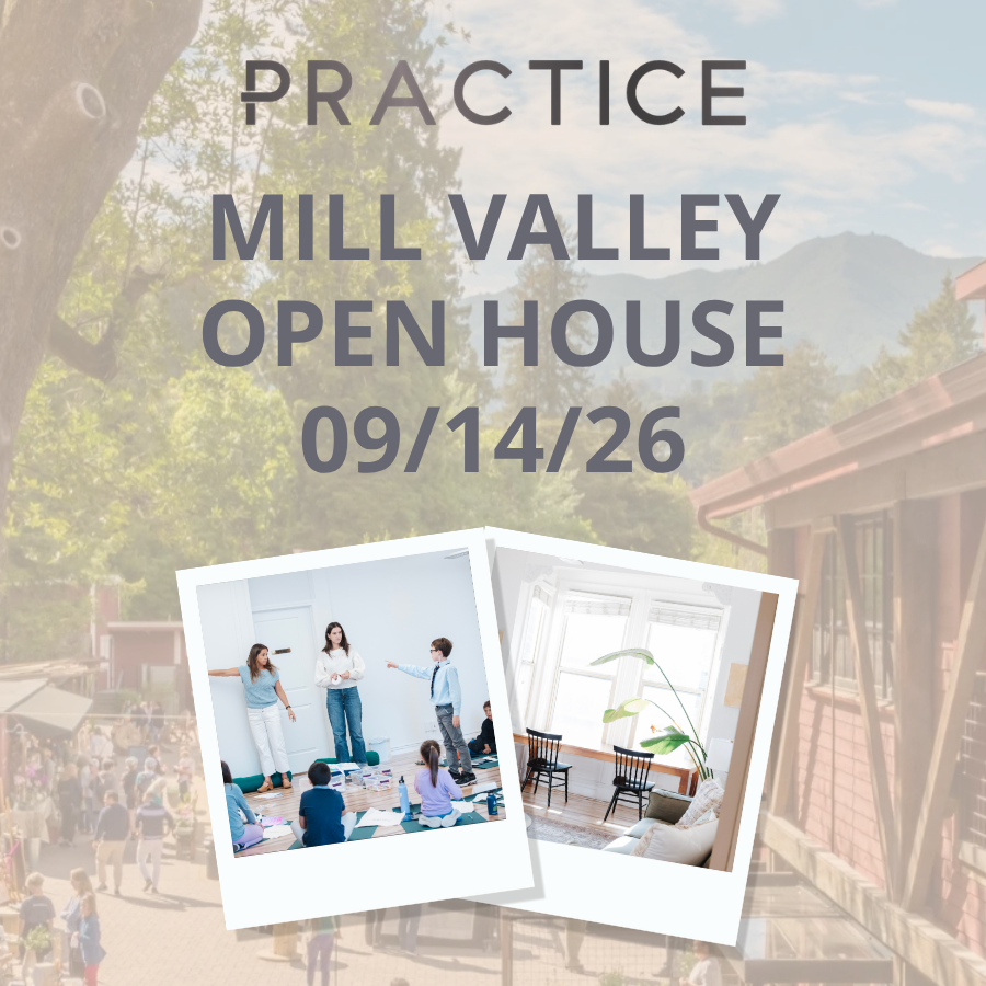 Practice Mill Valley Open House