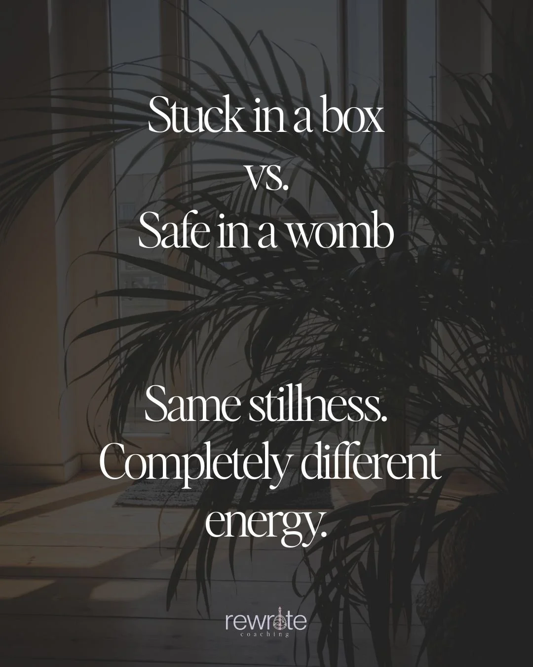 A few years ago, I was showing up on social media every day, following the &quot;proven&quot; path, doing all the things I was told would grow my business.

And I felt trapped. Bitter. Exhausted. Like I was stuck in a box with no way out.

Fast forwa