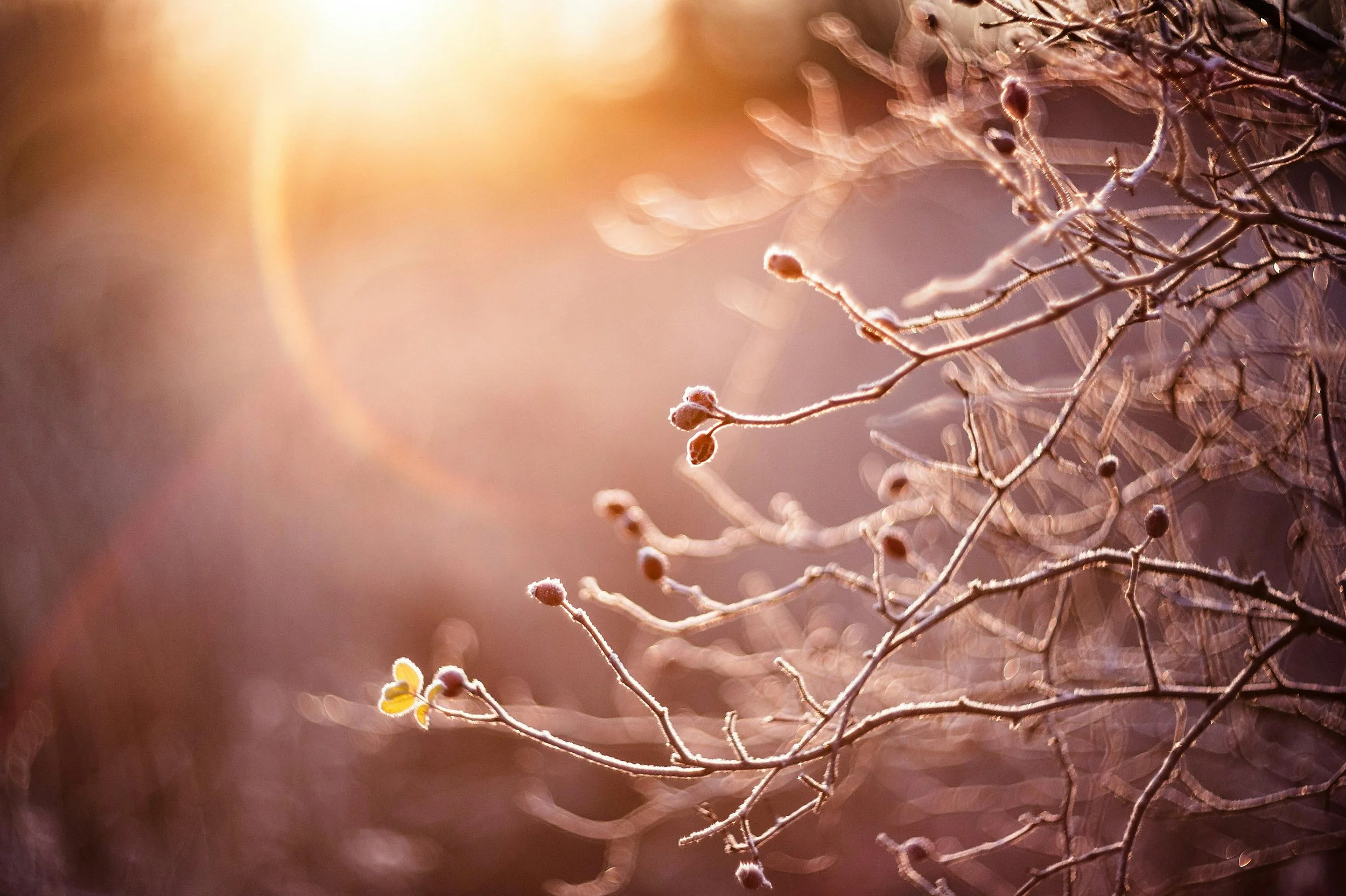 The Morning I Finally Chose Myself (A Throwback Post)