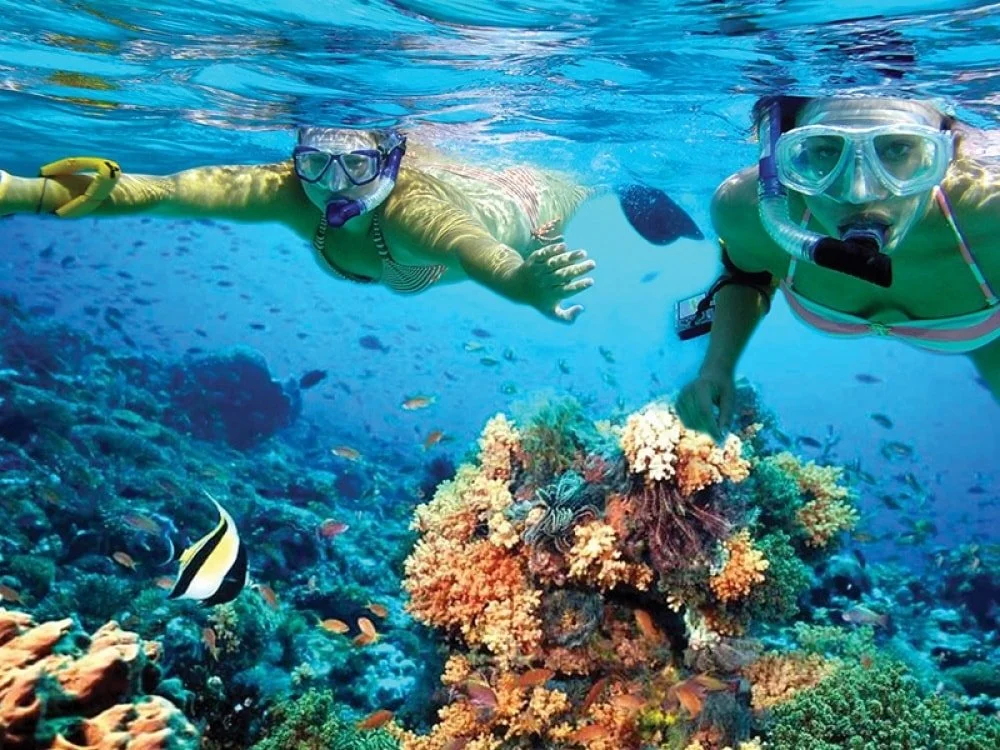 Two people snorkeling in a vibrant coral reef, surrounded by colorful fish and marine life.