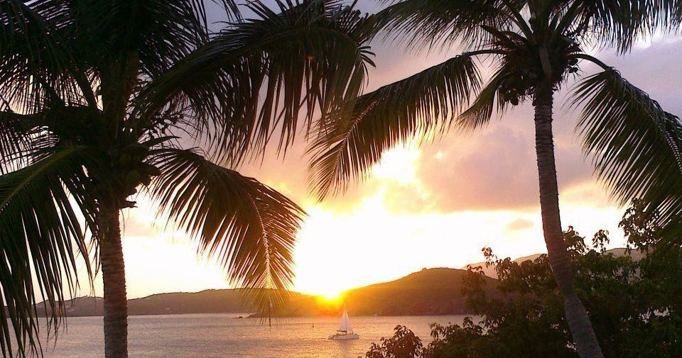 Sunset over the ocean with palm trees in the foreground and a sailboat on the water.