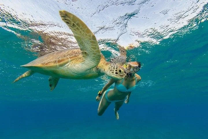 A person snorkeling underwater with a sea turtle swimming beside them.