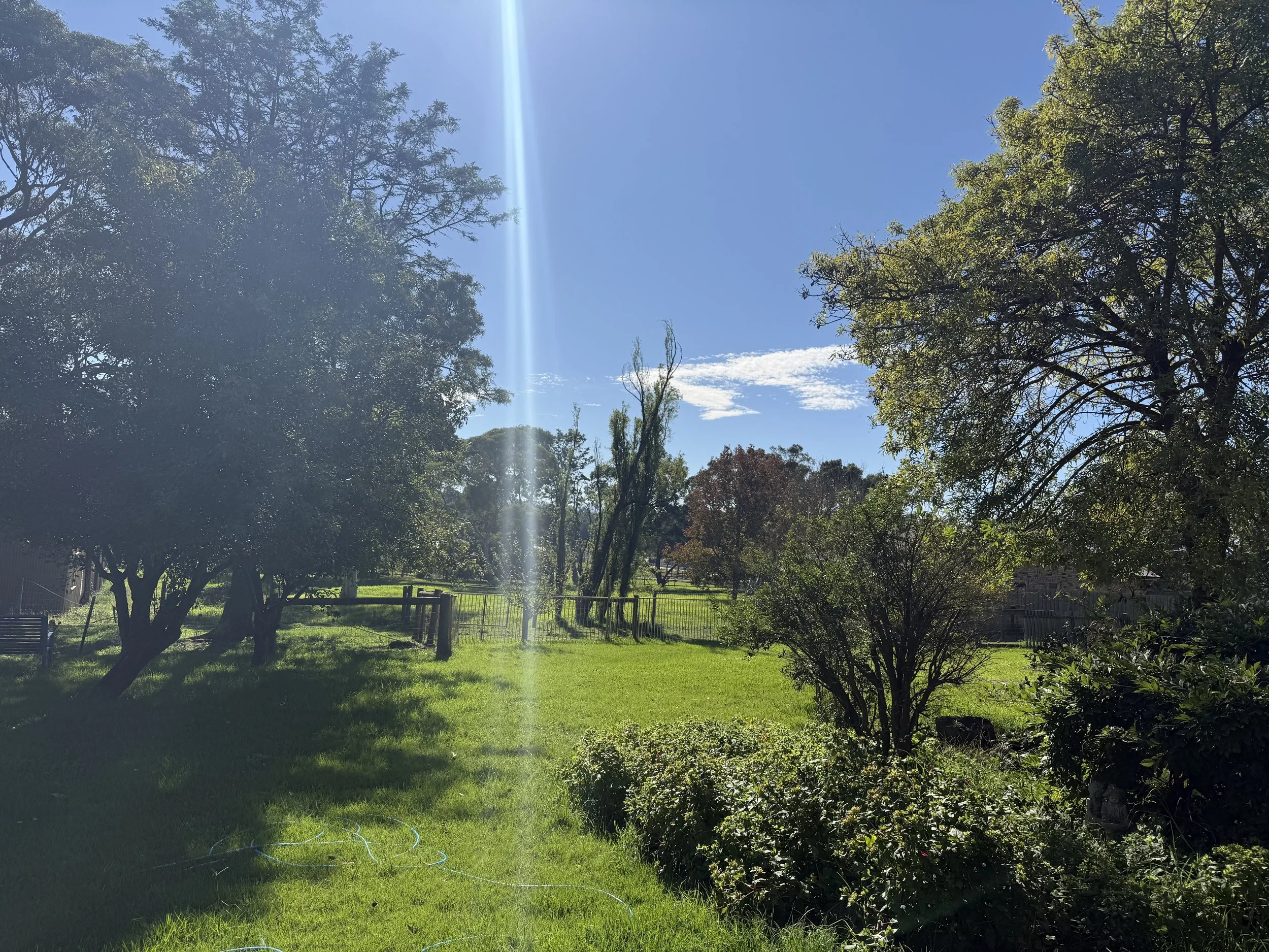 IMG_2927.jpeg