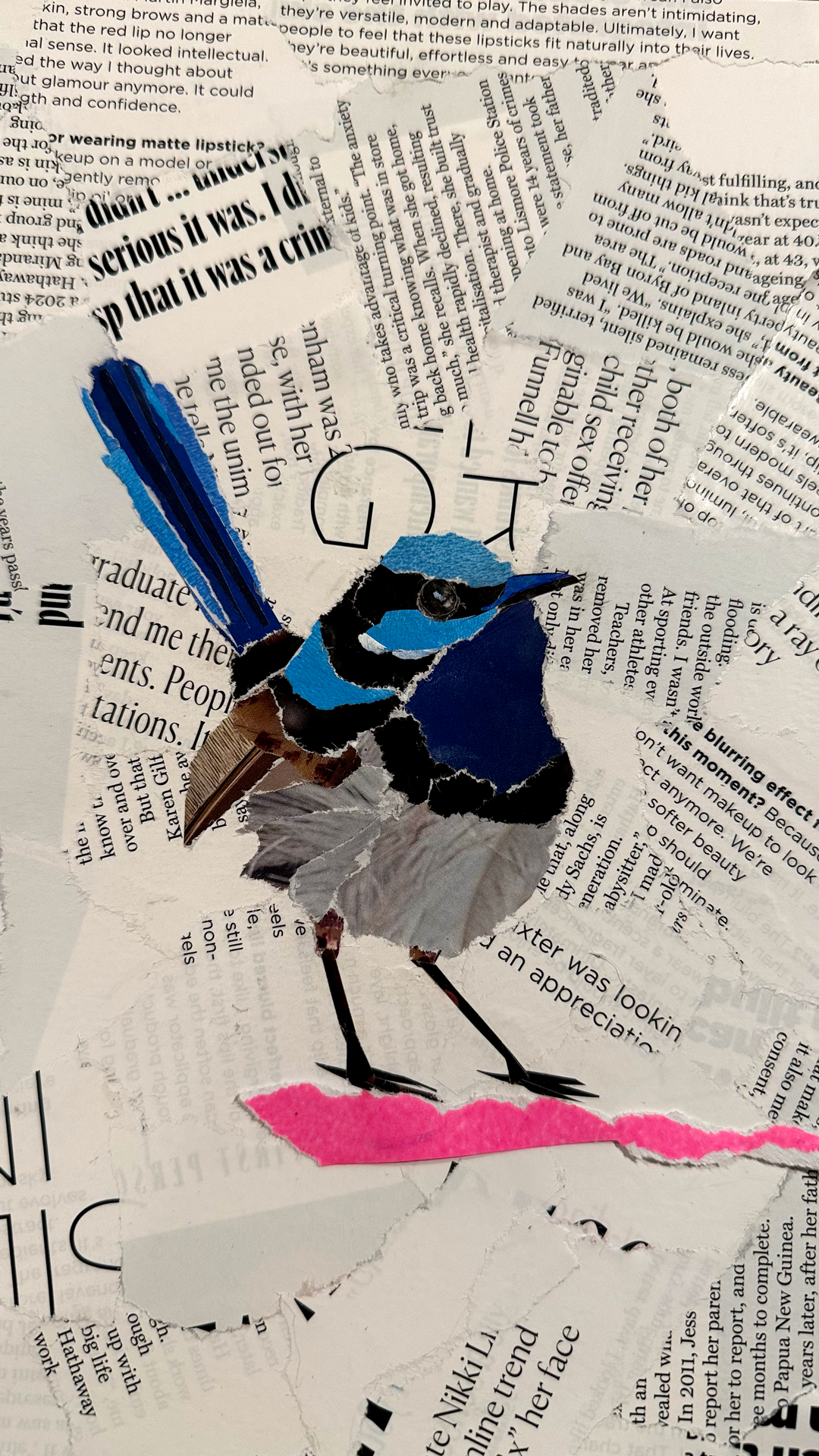 Blue-Fairy-Wren-1.png