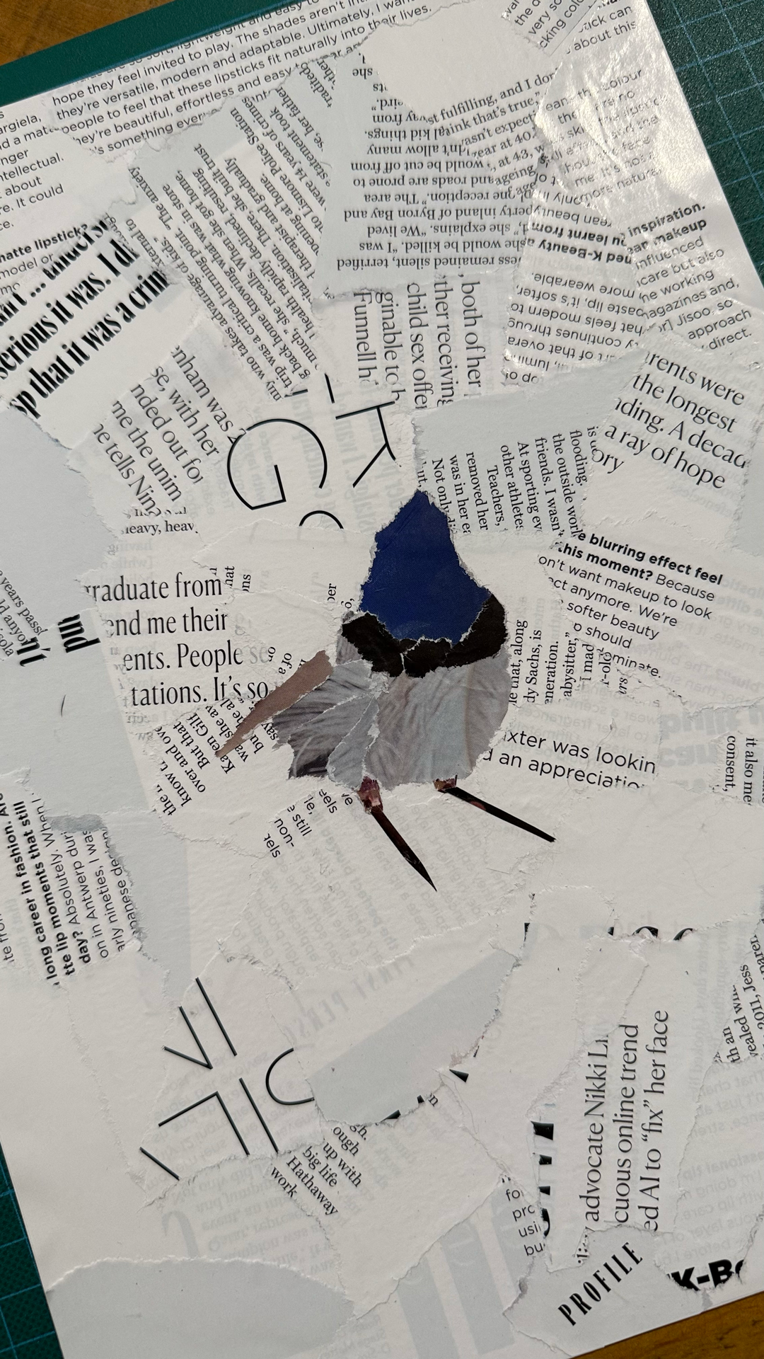 Blue-Fairy-Wren-4-by-artist-Steven-Stanley.png