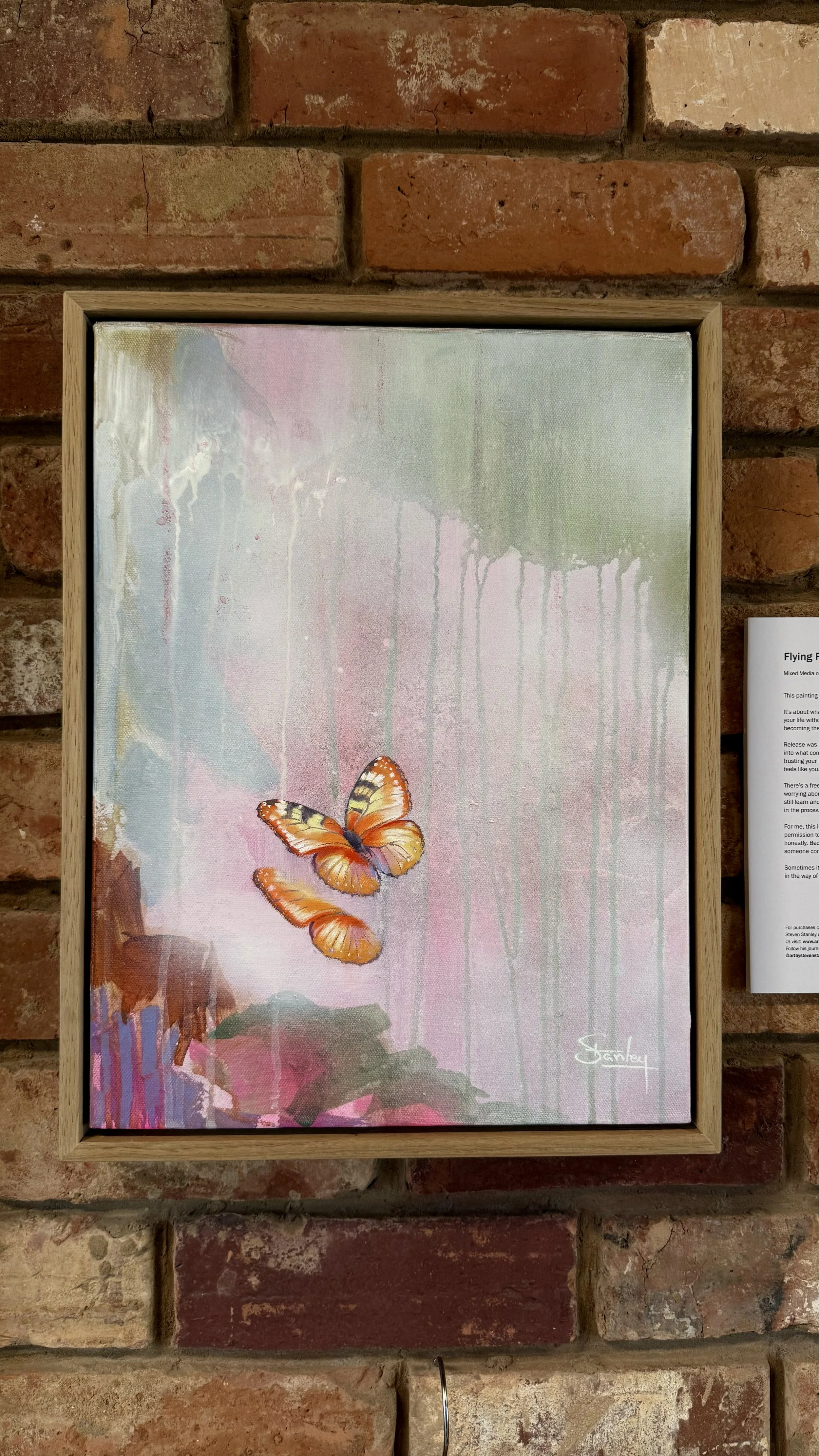 Flying Free Frame - by Artist Steven Stanley.jpg