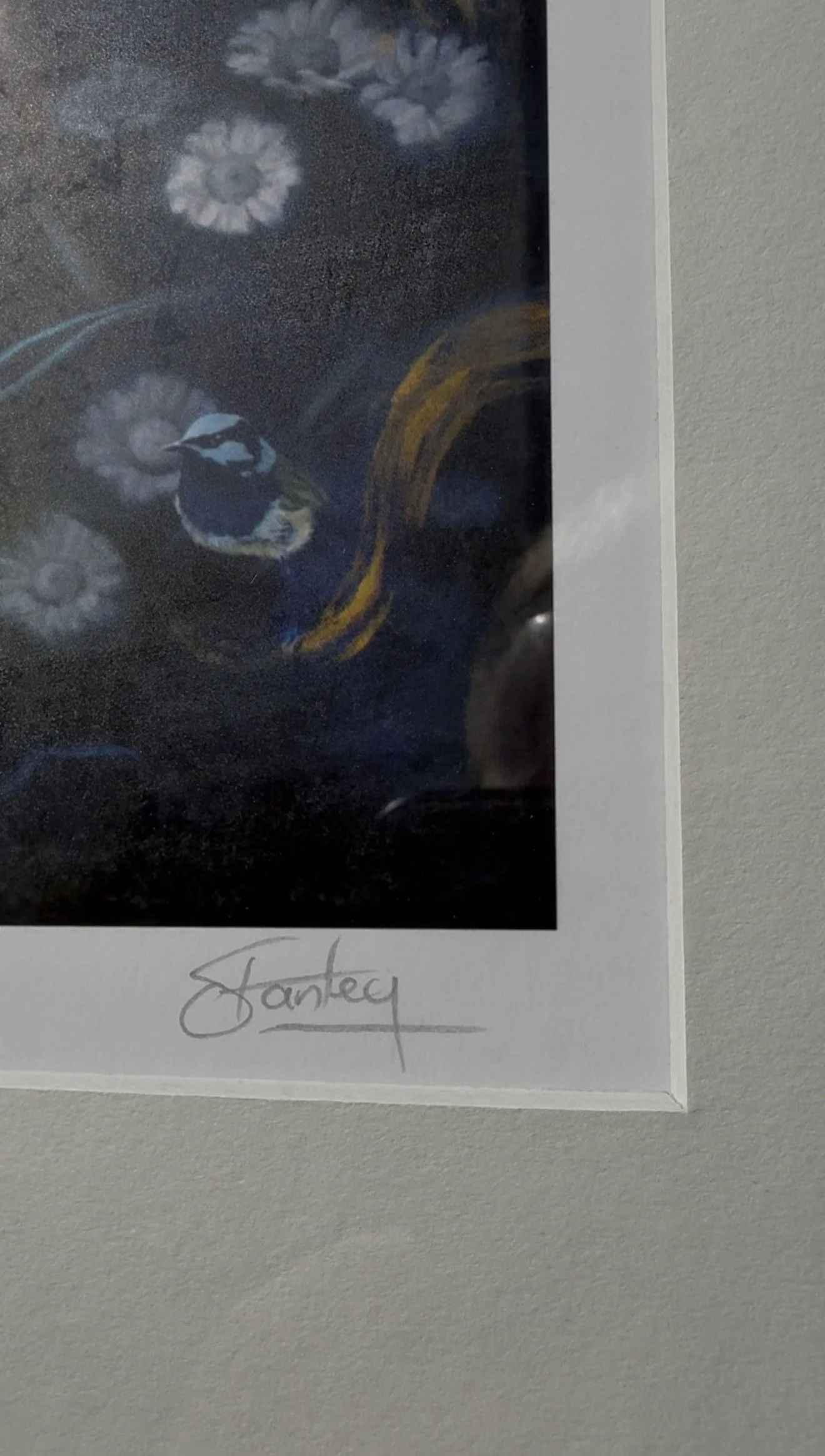 Steven Stanley - Aura Raffle 3.jpg