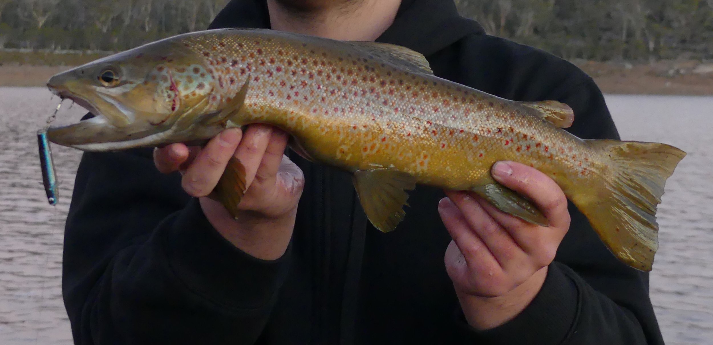 Fishing Report 24/5/2019