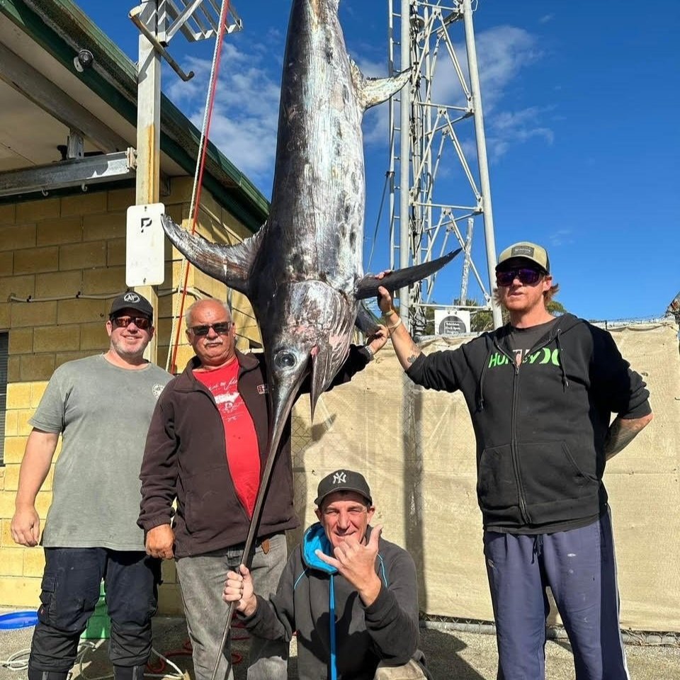 Spot On Fishing Tackle Hobart