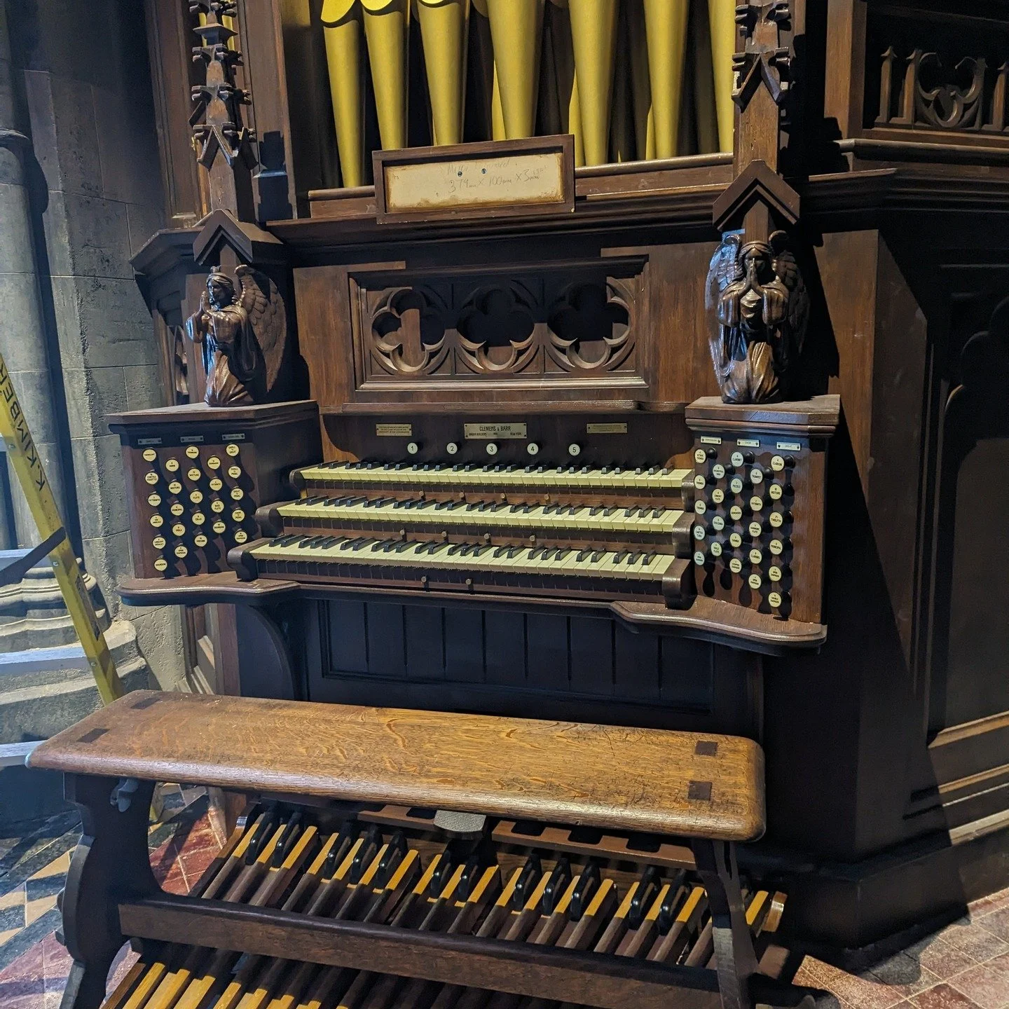wudm-organ18.jpg