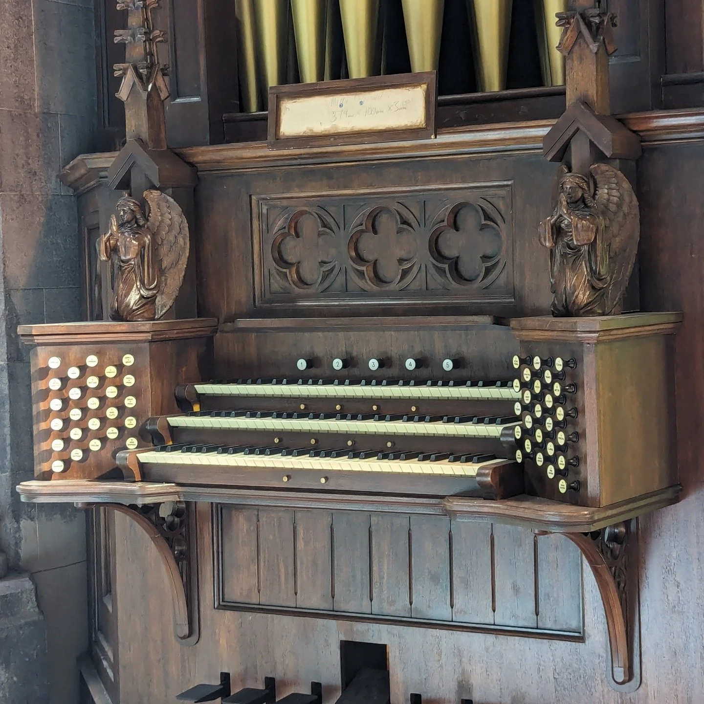 wudm-organ2.jpg