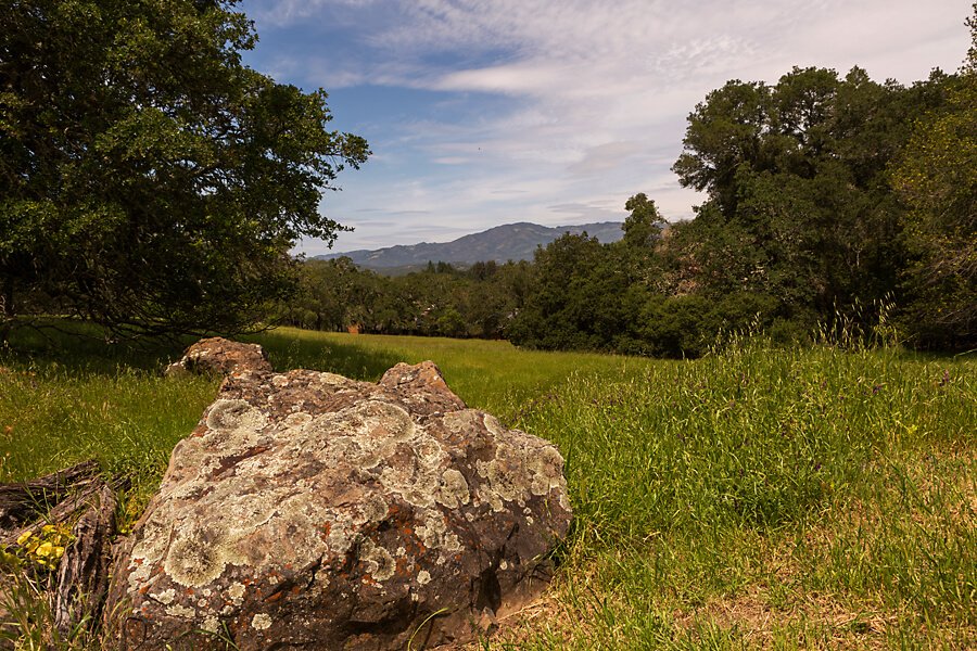 view-from-beauty-ranch.jpg