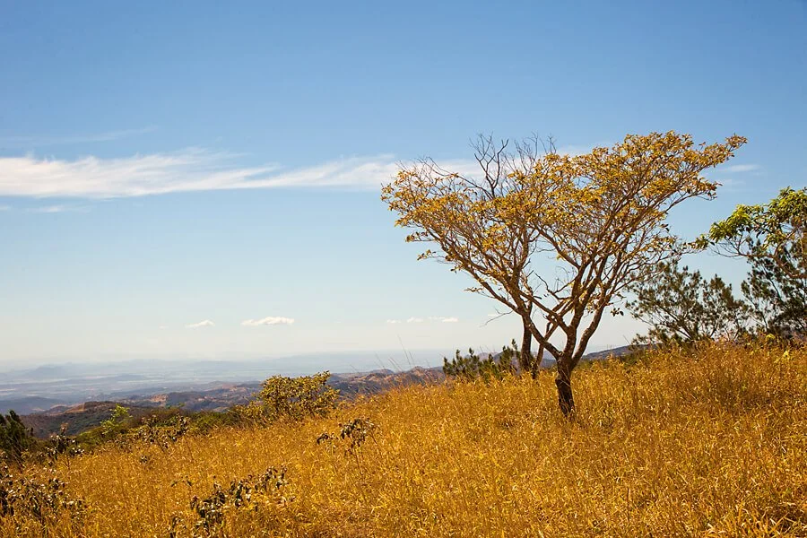 San-Jose-to-Monteverde-15s.jpg