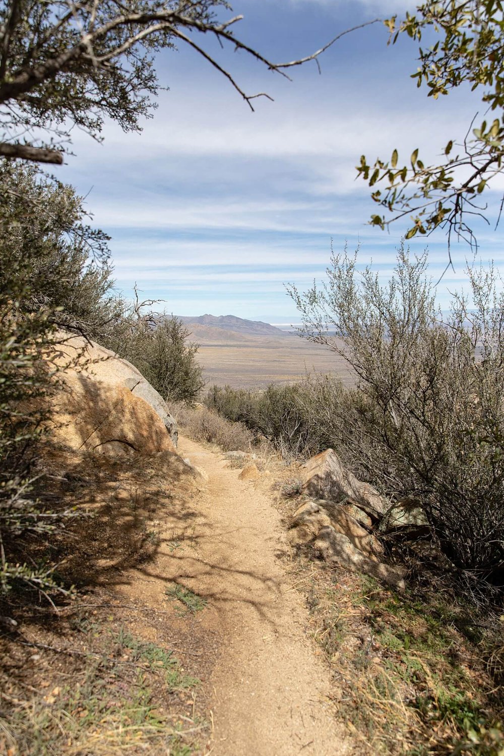 Pine-Tree-Loop-Trail-Las-Cruces-New-Mexico-13.jpg