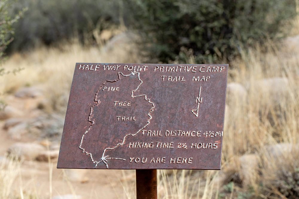 Pine-Tree-Loop-Trail-Las-Cruces-New-Mexico-16.jpg