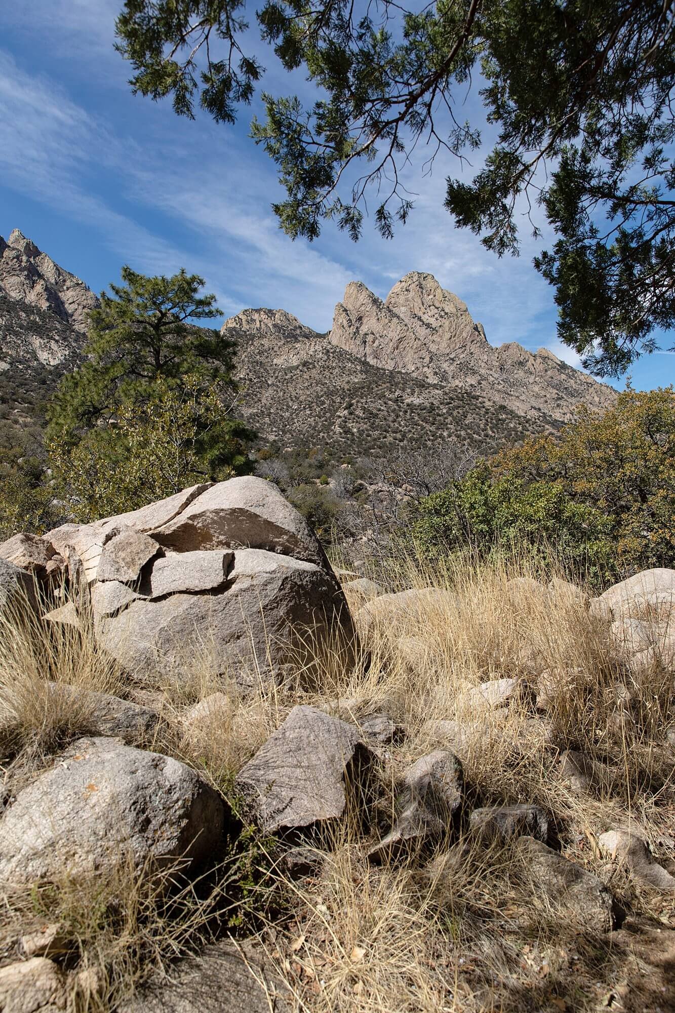 Pine-Tree-Loop-Trail-Las-Cruces-New-Mexico-8.jpg