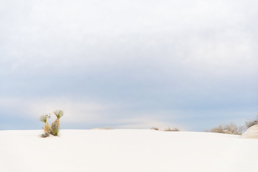 White-Sands-National-Monument-New-Mexico-24.jpg