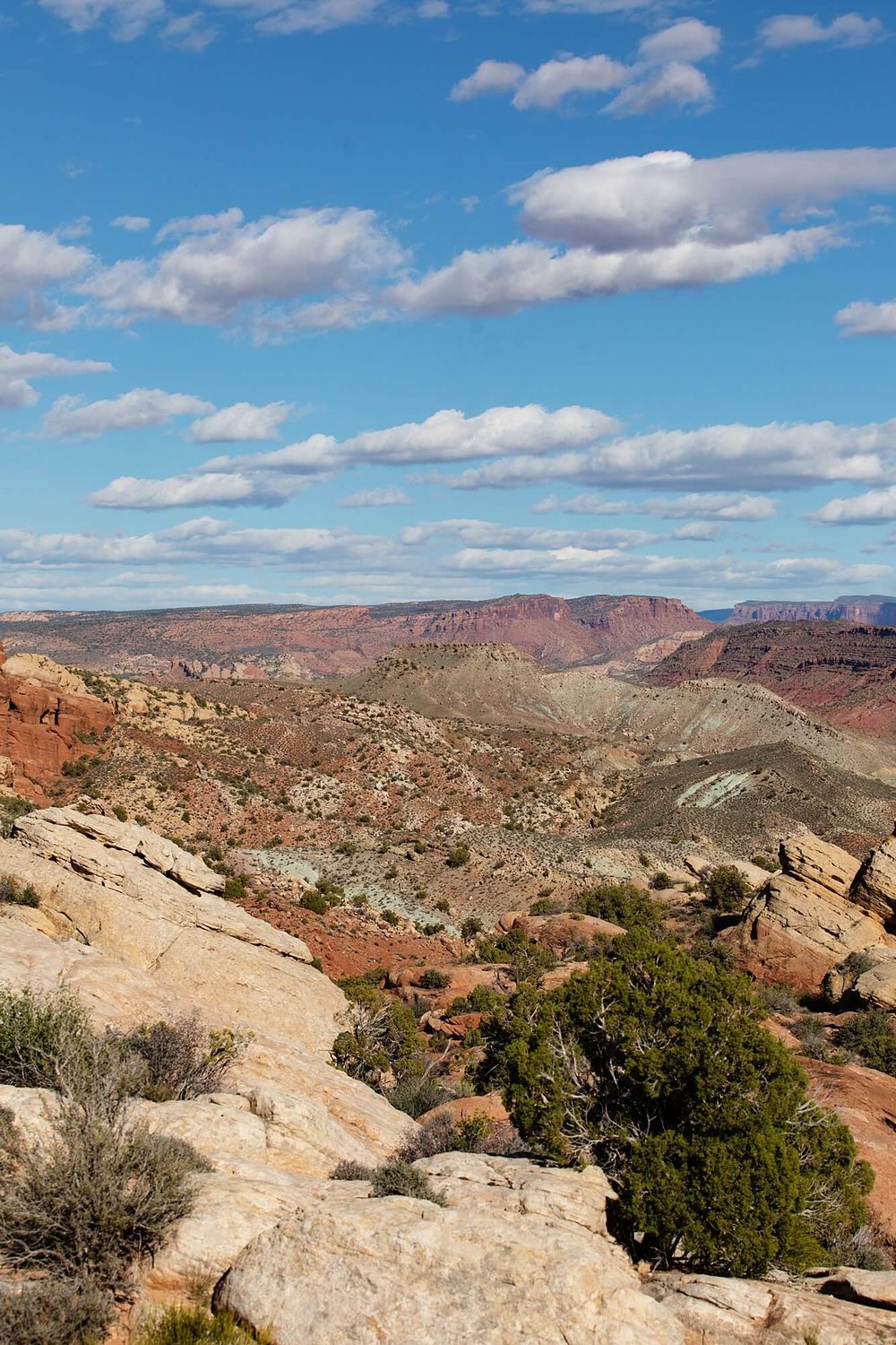 Moab-Arches-Canyonland-Favorites-139.jpg