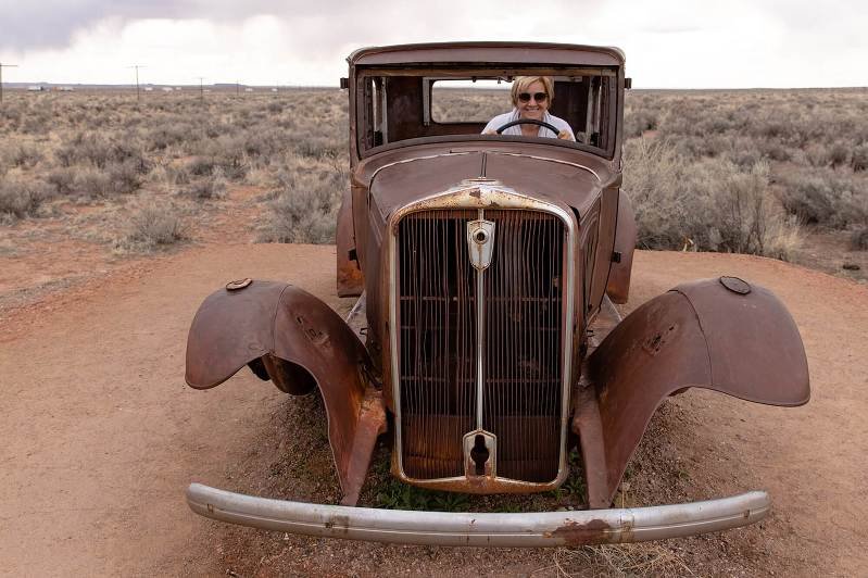 Petrified-Forest-favorites-5-1(pp_w799_h532).jpeg