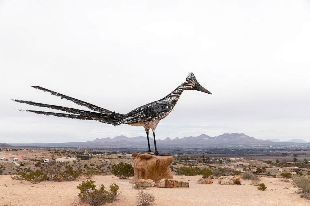 recycled-roadrunner-Las-Cruces-New-Mexico-6(pp_w1600_h1066).jpeg