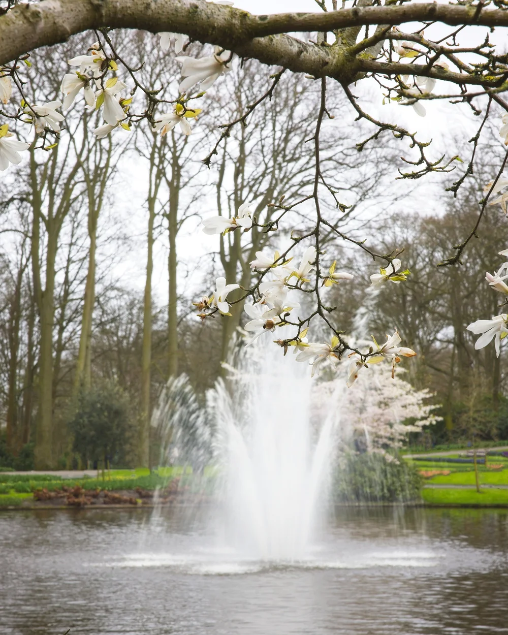 Amsterdam_ 2023_April_07_504 copy.jpg