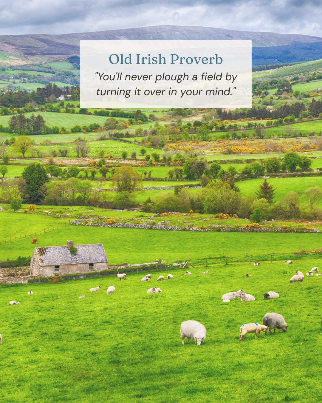 "You'll never plough a field by turning it over in your mind."

Stop thinking about it. Start doing it. That's it. That's the whole message.

The trip you keep researching. The conversation you keep rehearsing. The change you keep almost ma