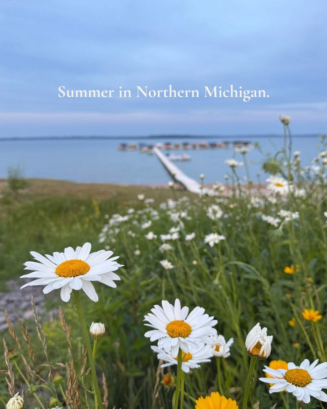 Summer has a way of reminding us to slow down.

Today I'm soaking in a little beauty here in northern Michigan. 
The daisies are blooming, the water is calm, and for a few minutes, there isn't anywhere else I need to be.

What are you looking forward