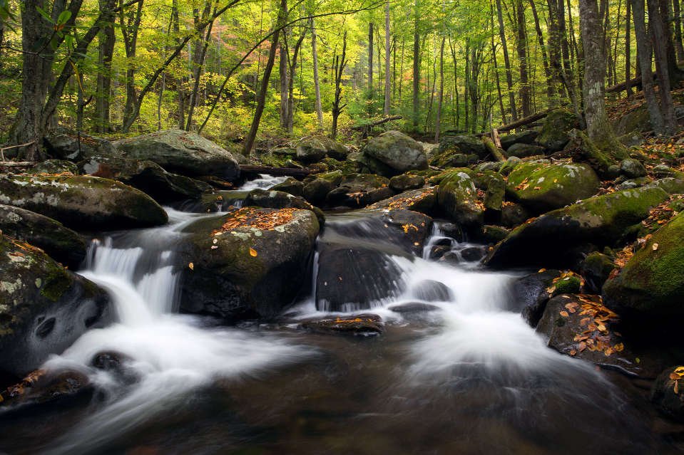 Smokey Mountains