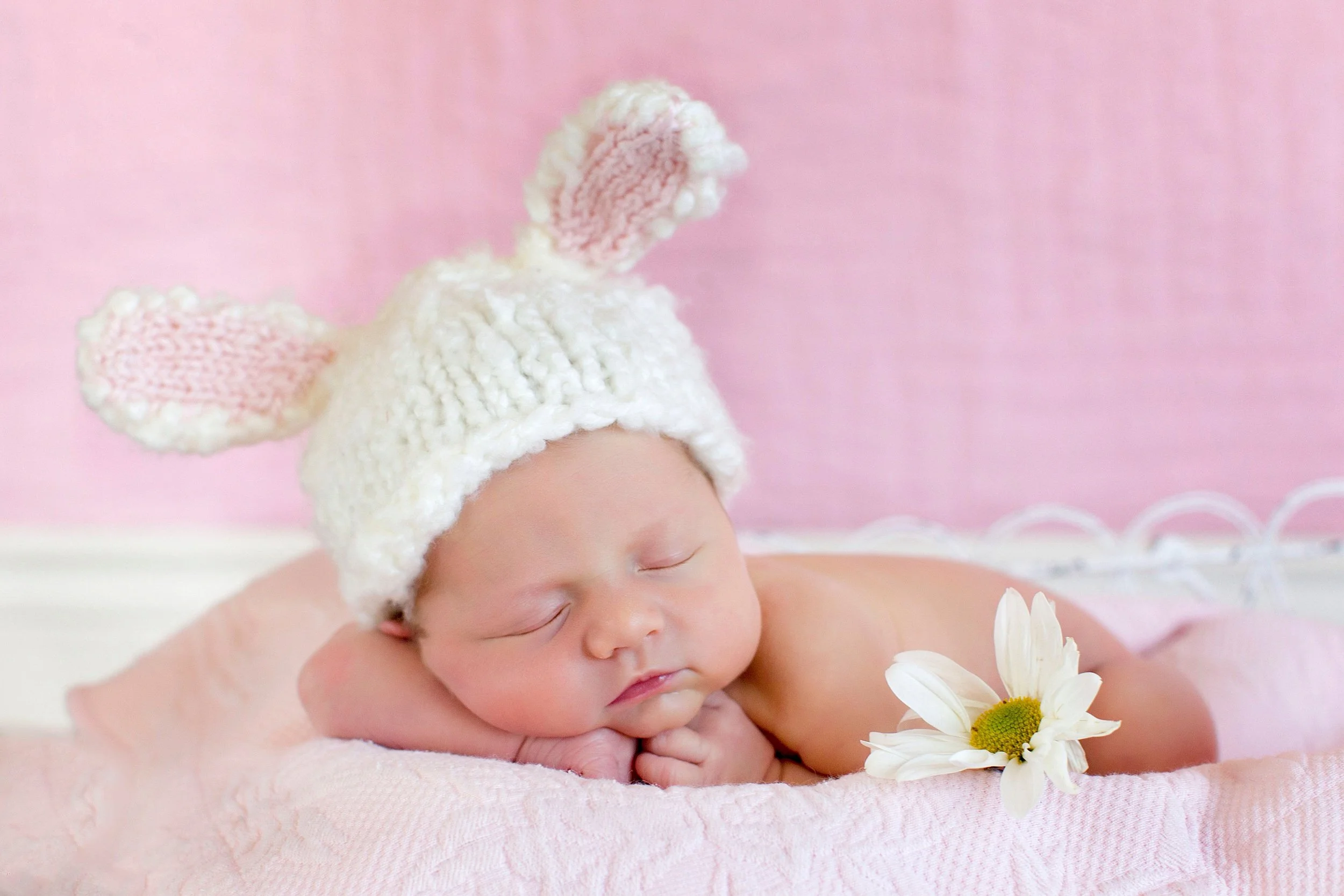 Newborn baby bunny.jpg