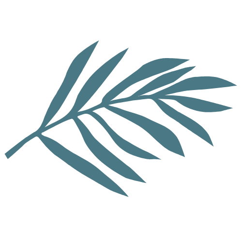 A blue illustration of a branch with several elongated leaves.