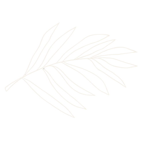 fern outline