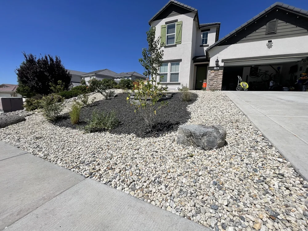 Water-wise front yard with river rock, a boulder, mulch beds and young plants, landscaped by Jefe's Design and Build