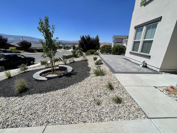 Water-wise front yard with a young tree in a stone ring, mulch, river rock and mountain views