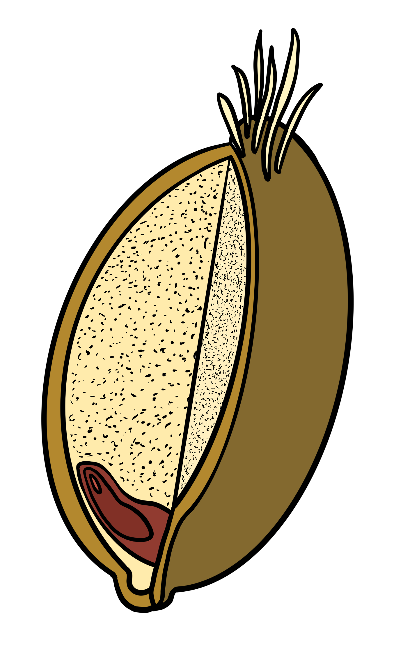 Untitled_Artwork 142.png